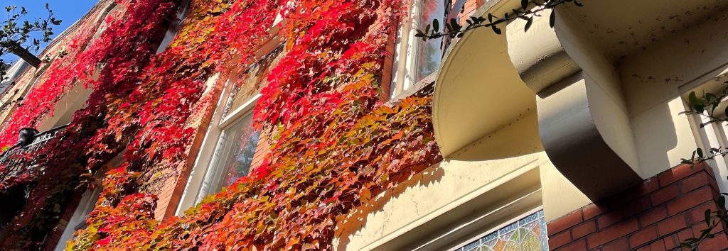 Nieuwbouw-Amsterdam-Zuid