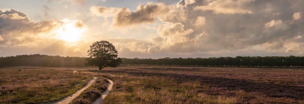 Bussum-Bussumerheide-nieuwbouw