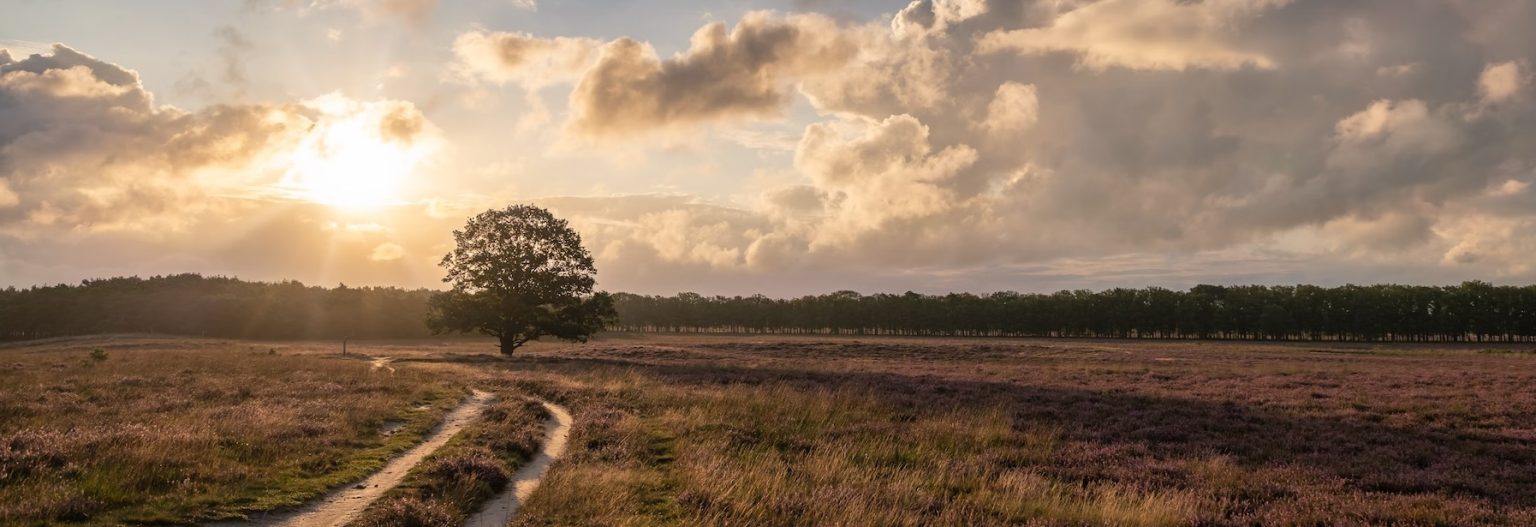 Bussum-Bussumerheide-nieuwbouw