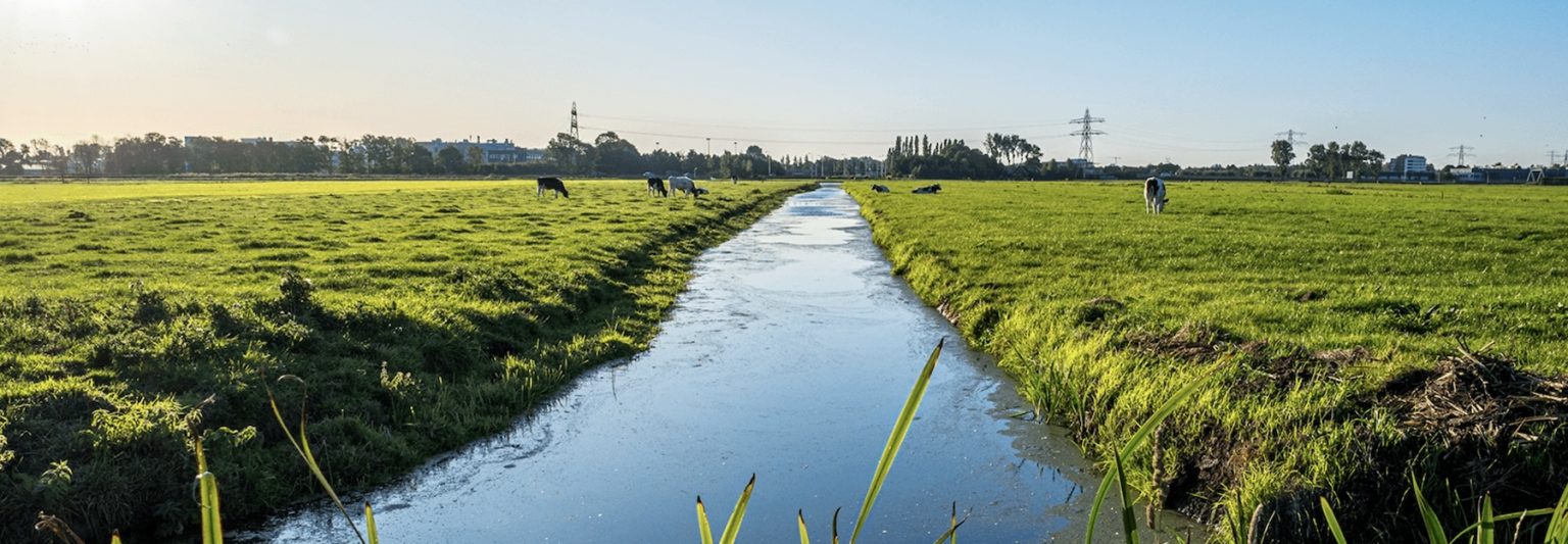 Westzaan-Mooy-Westzaan