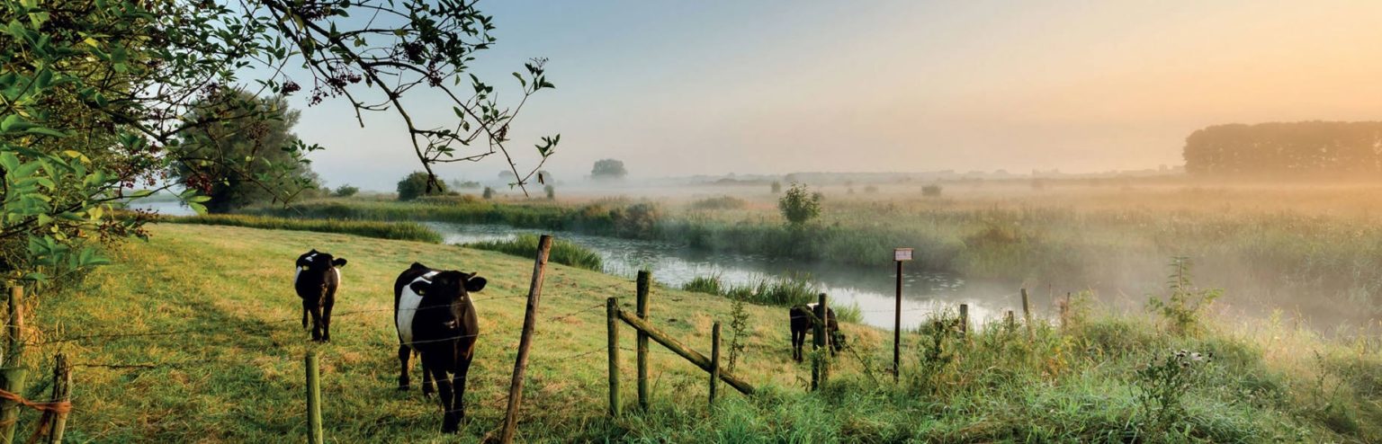 Oosthuizen-omgeving-BPD